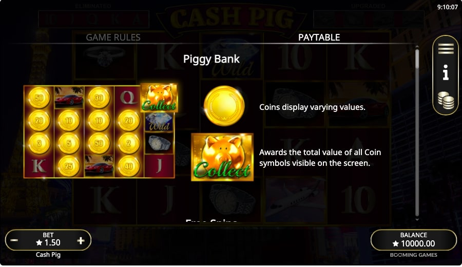 Cash Pig Piggy Bank